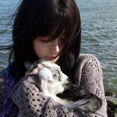 解放者：欧陆决战500天