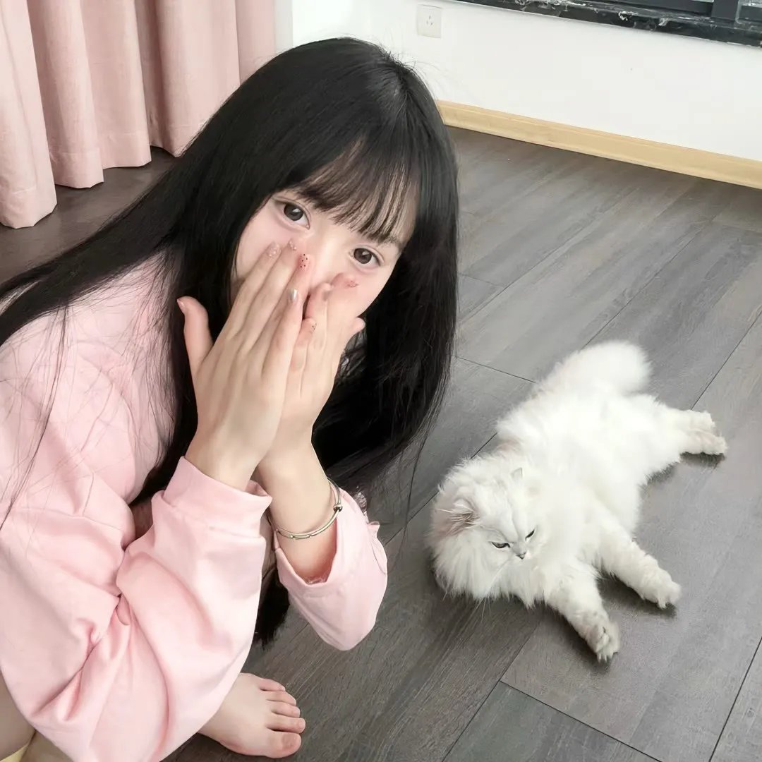 妖怪学校的新人教师